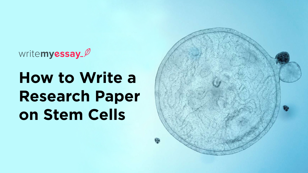 How to Write a Research Paper on Stem Cells